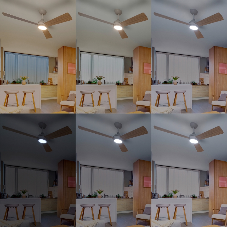Philips - Dimmbarer LED-Deckenventilator CIVX LED/24W/230V + Fernbedienung