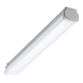Philips - LED-Leuchtstoffarmatur LEDINAIRE LED/15W/230V 60 cm IP66
