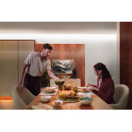 Philips - LED RGBW dimmbarer Streifen Hue FLUX, 10 m, 60 W, 230 V, 2200–6500 K