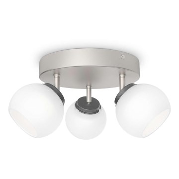 Philips - LED-Spotleuchte 3xLED/4W/230V