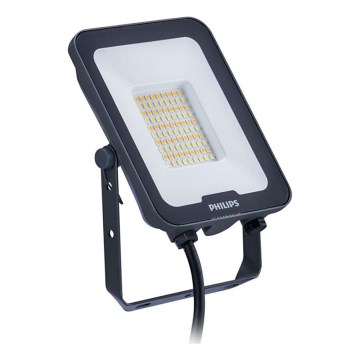 Philips - LED-Strahler LEDINAIRE ALL-IN LED/30W/230V 3000/4000/6500K IP65