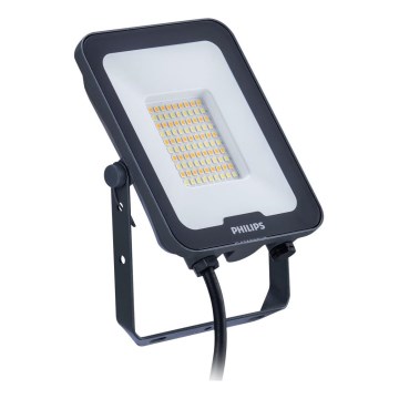 Philips - LED-Strahler LEDINAIRE ALL-IN LED/50W/230V 3000/4000/6500K IP65 anthrazit