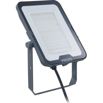 Philips - LED-Strahler LEDINAIRE ALL-IN LED/65W/230V 3000/4000/6500K IP65