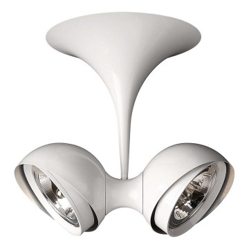 Philips Lirio 57072/31/LI - Spotleuchte PALLO 2xG53/50W/230V