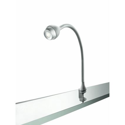 Philips Massive 66705/87/10 - Wand- Tischlampe JARNO 1xLED/2,5W/230V metallgrau