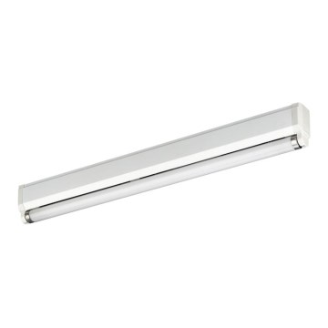 Philips Massive 85110/18/31 - Leuchtstofflampe ECONOMYLINE 1xG13/18W