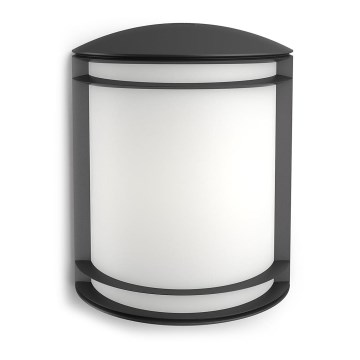 Philips - Outdoor-Wandleuchte 1xLED/6W/230V IP44