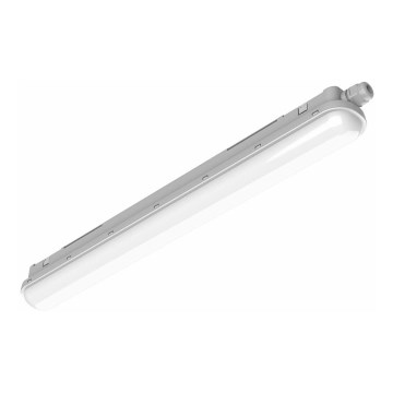 Philips Pila - Technische LED-Röhrenleuchte LED/40W/230V 120 cm IP65