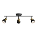 Philips - Strahler CONDUIT 3xGU10/5W/230V schwarz/Messing