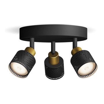 Philips - Strahler NIALL 3xGU10/5W/230V schwarz/Messing
