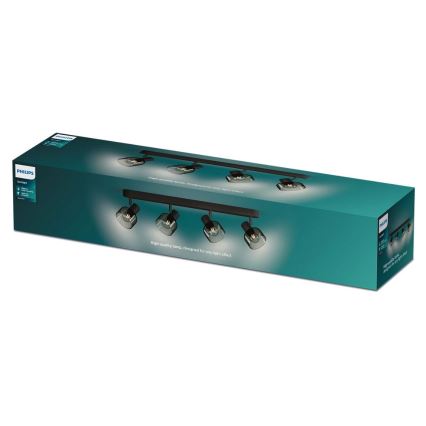 Philips - Strahler SLEET 4xE14/25W/230V