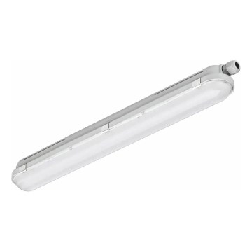 Philips - Technische LED-Röhrenleuchte CORELINE LED/25W/230V 120 cm IP66