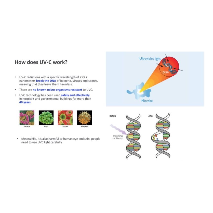 Philips - Desinfektions-Germizidlampe mit UV-C-Sensor/24W/230V