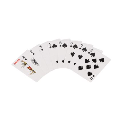 Poker-Set im Koffer, 100-teilig