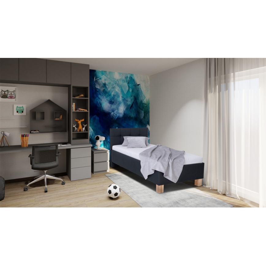 Polsterbett MARIA ONE 90x200 cm mit Bettkasten, ohne Matratze, Anthrazit