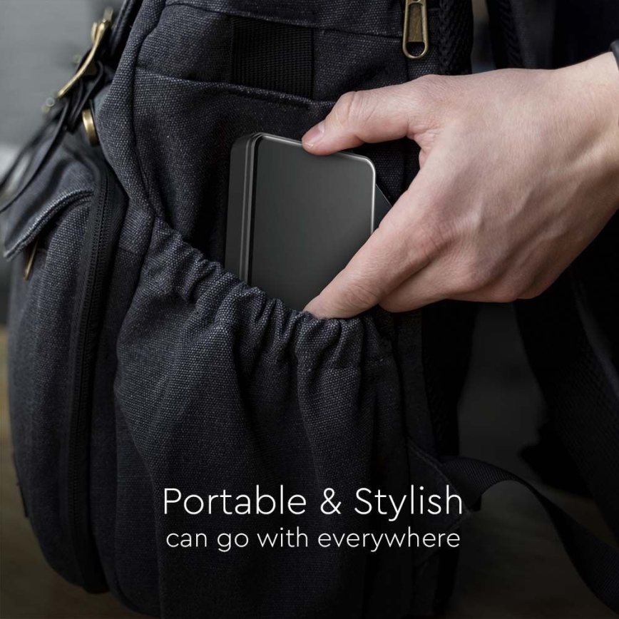 Powerbank mit Display und kabellosem Laden Power Delivery 10000mAh/20W/5V Schwarz