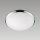 Prezent 1518 - Ersatzglas für die Deckenleuchte LUNA E27