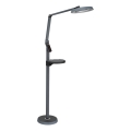 Prezent 31220 - LED dimmbare Stehlampe mit Touch-Steuerung SALSA LED/15W/230V USB