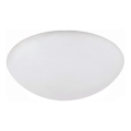 Prezent 49014 - Ersatzglas für die Deckenleuchte LENS G9