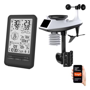 Profi-Wetterstation mit LCD-Display 2xAA Wi-Fi Tuya