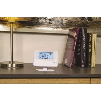 Programmierbares Thermostat 230V + 2xAA