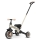 QPlay - Kinder-Dreirad 3-in-1 STAGER beige