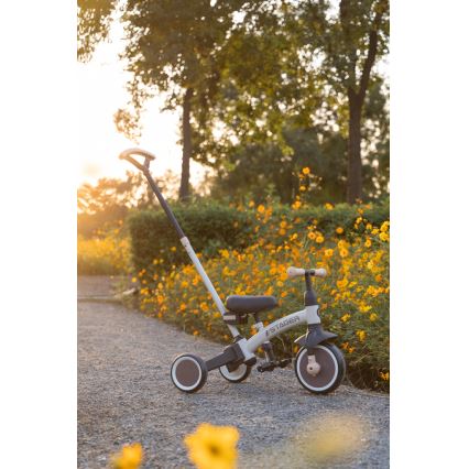 QPlay - Kinder-Dreirad 3-in-1 STAGER, grün
