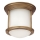 Quintiesse - Außen-Deckenleuchte HADRIAN 1xE27/60W/230V Ø 16,8 cm IP44 goldfarben