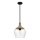 Quoizel - Deckenleuchte an Stange ROYER 1xE27/60W/230V d 30,2 cm klar/schwarz/beige