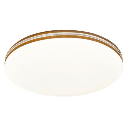Rabalux 2763 - LED Deckenleuchte OSCAR 1xLED/18W/230V