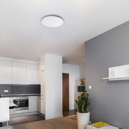 Rabalux - LED dimmbare Deckenleuchte LED/22W/230V Ø 42 cm