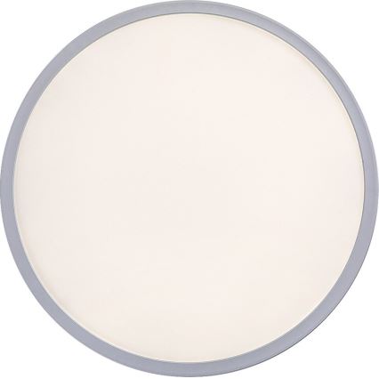 Rabalux - LED dimmbare Deckenleuchte LED/22W/230V Ø 42 cm