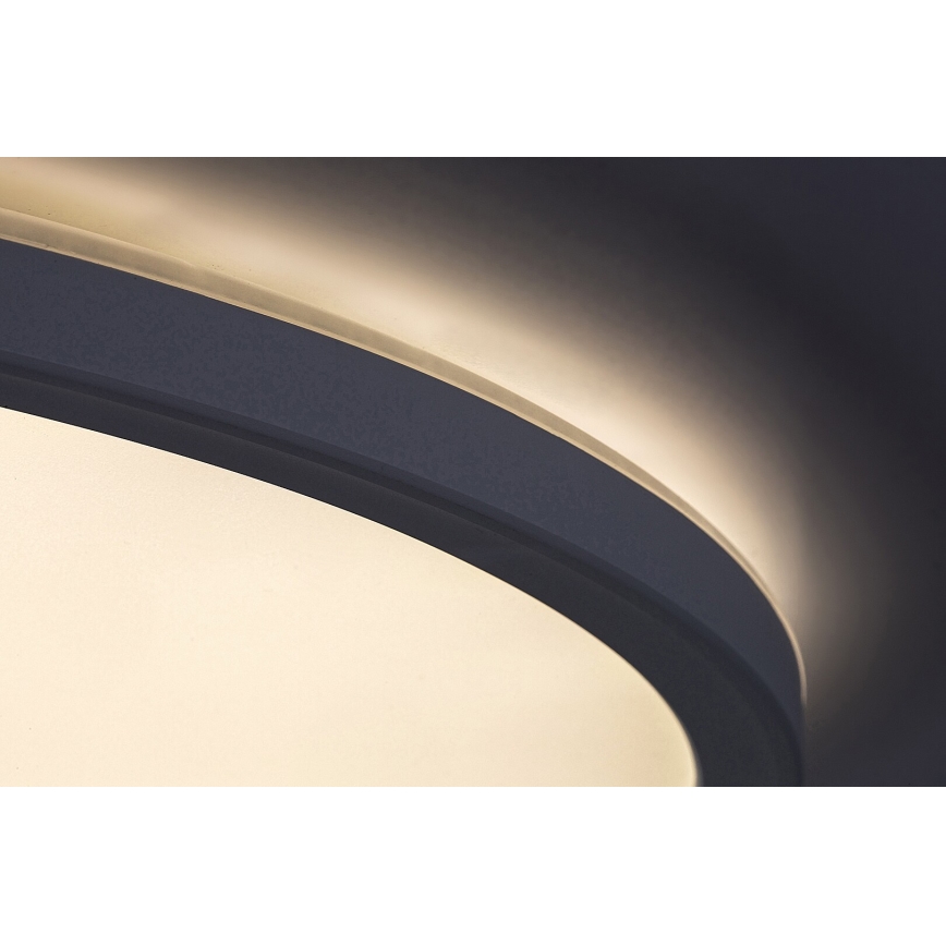 Rabalux - LED dimmbare Deckenleuchte LED/22W/230V Ø 42 cm