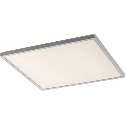 LED Dimmbare Deckenleuchte PAVEL LED/22W/230V