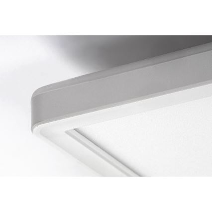 LED Dimmbare Deckenleuchte PAVEL LED/22W/230V