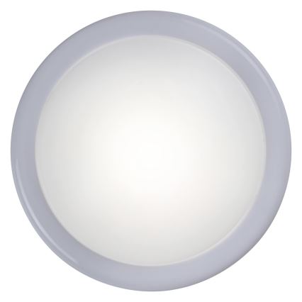 Rabalux - Kleine LED-Leuchte mit Touch-Funktion 1xLED/0,3W/2xAA weiß