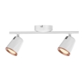 Rabalux 5046 - LED Spotlight SOLANGE 2xLED/6W/230V