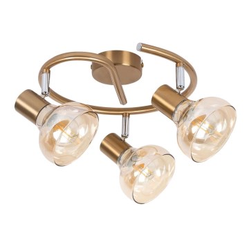 Rabalux 5549 - Spotlight HOLLY 3xE14/40W/230V gold