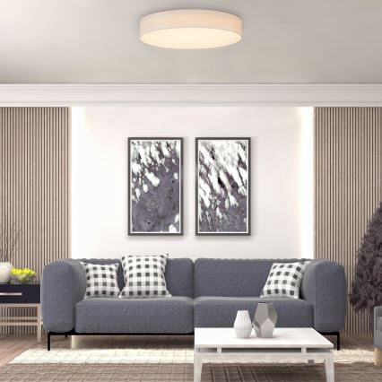 Rabalux - LED-Deckenleuchte LED/24W/230V d 40 cm