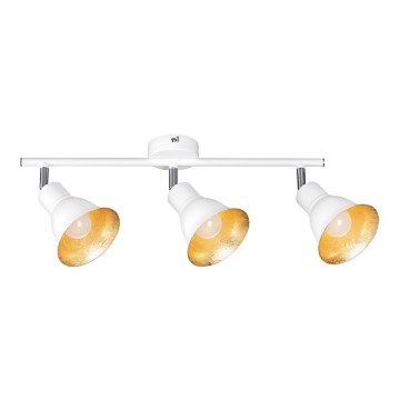 Rabalux 5908 - Spotlight ANNIE 3xE14/40W/230V weiß