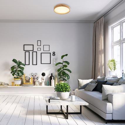 Rabalux - LED Deckenleuchte LED/12W/230V d. 26 cm