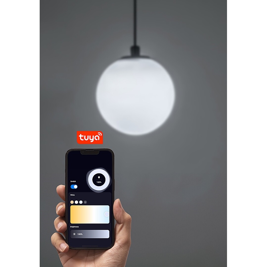 Rabalux - Dimmbare LED-Hängeleuchte für 1-Phasen-Schienensystem LED/5W/24V 2700-5500K Wi-Fi Tuya schwarz
