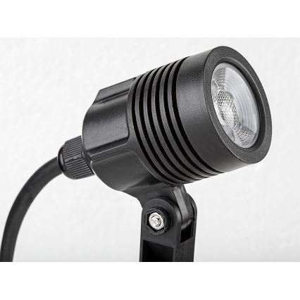 Rabalux - Outdoor-LED-Lampe LED/3W/230V IP65