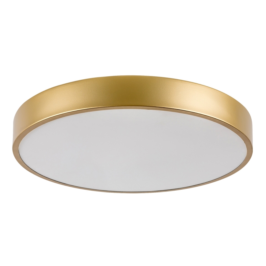 Rabalux - LED-Deckenleuchte LED/36W/230V 3000K