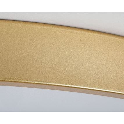 Rabalux - Dimmbare LED-Deckenleuchte LED/60W/230V 3000-6000K + Fernbedienung Ø 60 cm