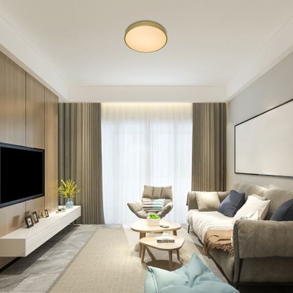 Rabalux - Dimmbare LED-Deckenleuchte LED/60W/230V 3000-6000K + Fernbedienung Ø 60 cm