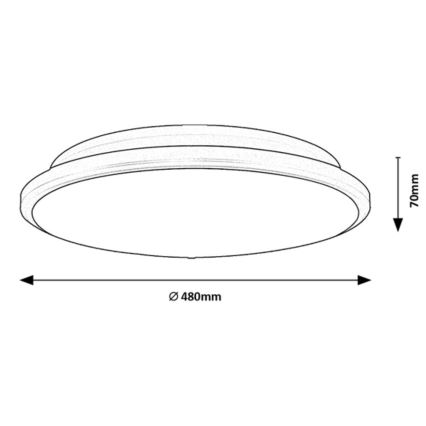 Rabalux - LED-Deckenleuchte LED/45W/230V 4000K silbern 48 cm