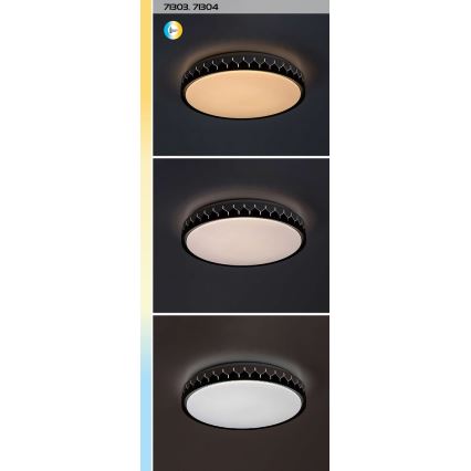 Rabalux - Dimmbare LED-Deckenleuchte LED/48W/230V 3000-6500K + Fernbedienung