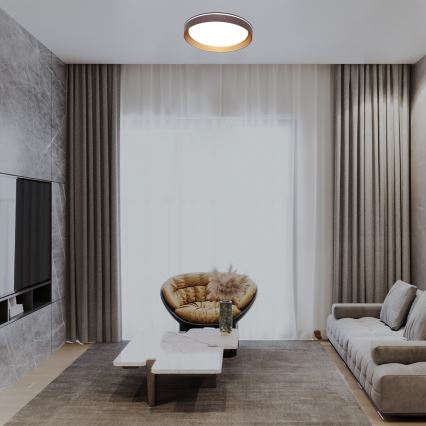 Rabalux - Dimmbare LED-Deckenleuchte LED/48W/230V 3000-6500K + Fernbedienung