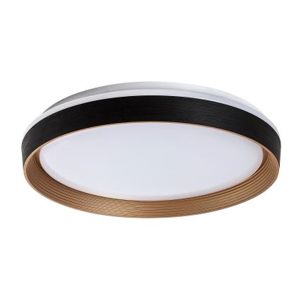 Rabalux - Dimmbare LED-Deckenleuchte LED/48W/230V 3000-6500K + Fernbedienung